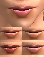 5 Lipcolors